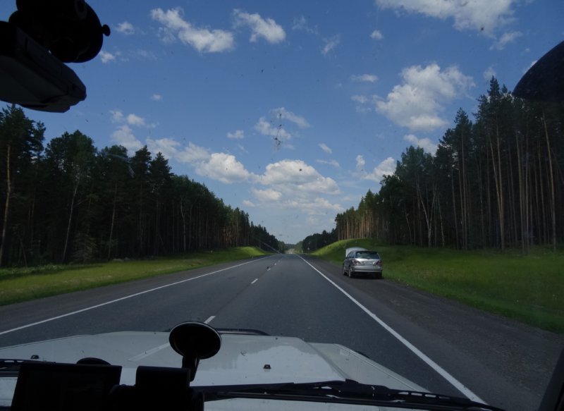 Barnaul naar Tomsk - Siberië; dennen-berkenbossen