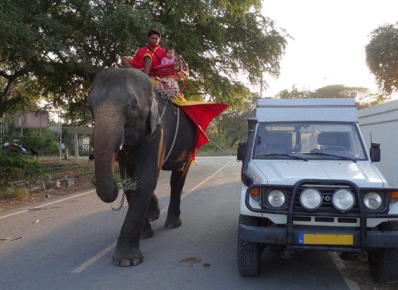 Ayutthaya - Kuipwagen met een olifant