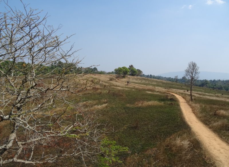 Khao Yai National Park - landschap