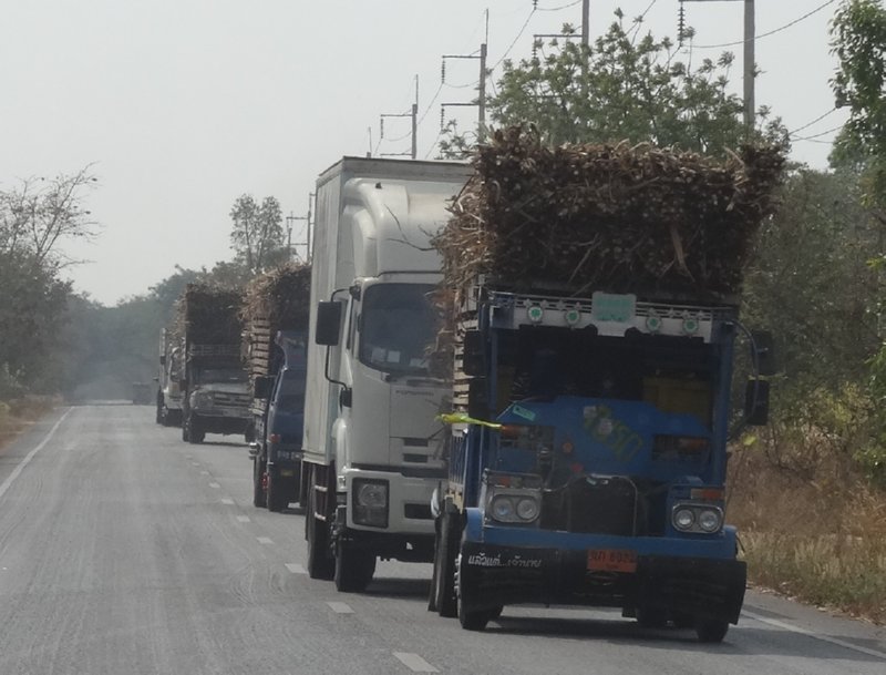 Phimai naar Nang Rong - suikerriet transport